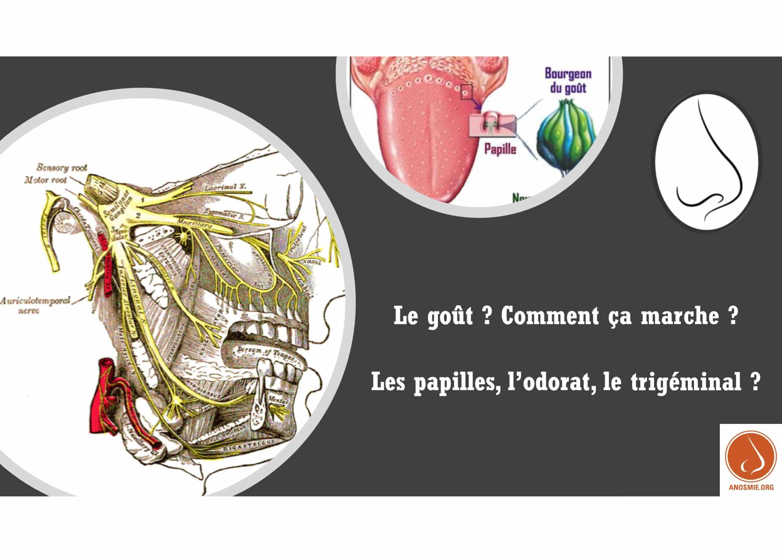 Image n°2