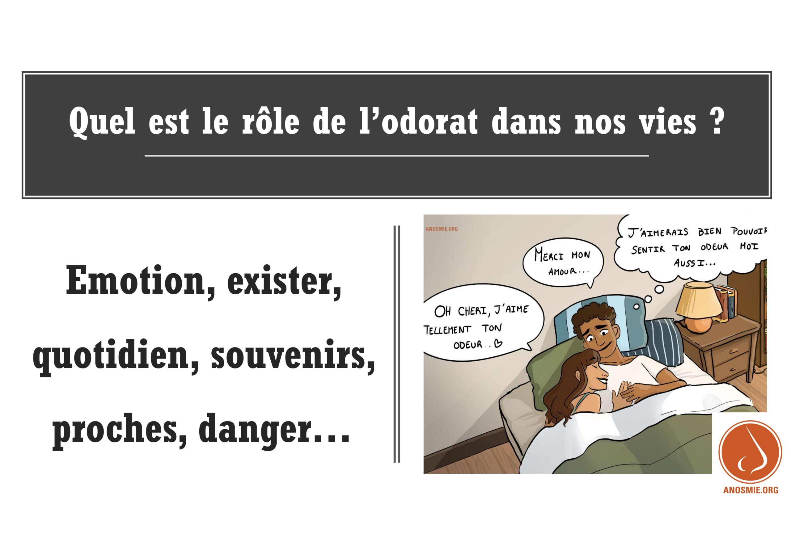 Image n°6
